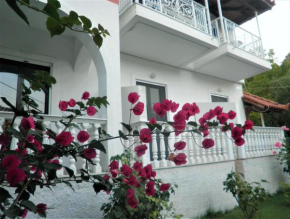 Aktipis Studios